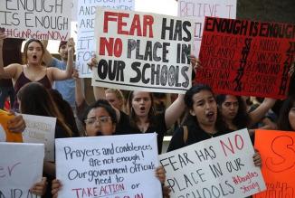 Parkland Shooting Protest BAV Group